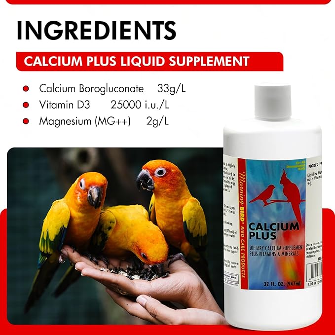 Morning Bird Calcium Plus Liquid Supplement for Birds - Liquid Calcium Formula with Magnesium and Vitamin D3 Calcium Supplement for All Birds – 32 Fl Oz