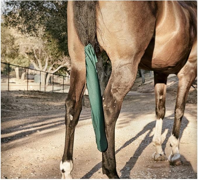 Standard Tail Bag Hunter