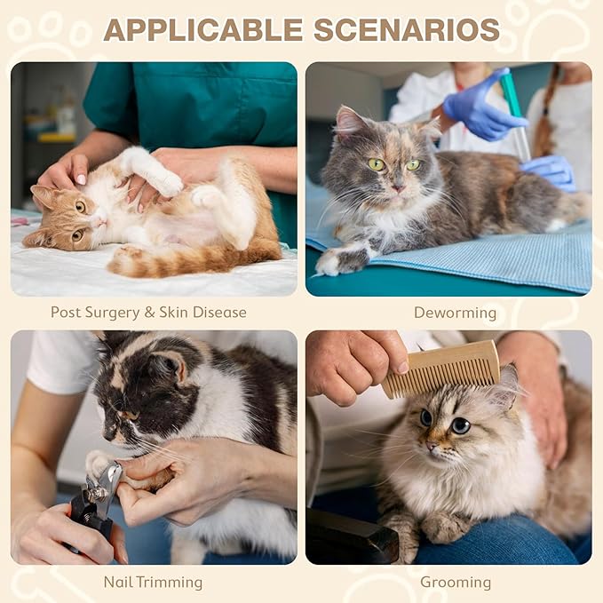 Avont Cat Cone Collar Soft to Stop Licking, Adjustable Foldable Lightweight Kitten Recovery Collar After Surgery for Small Dogs, Elizabeth Cone of Shame Alternative -Orange(M)