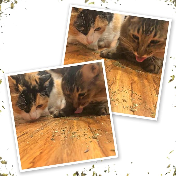 Meowijuana Get Baked Bundle | Get Baked Cookie Refillable Toy, King Size Catnip Joints, and Kalico | Hand Harvested and Rolled Dried High Potency Catnip | Grown in North America