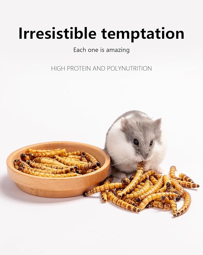 Niteangel Small Animal Snack & Treats - Small Critter Natural Treat for Dwarf Syrian Hamsters Gerbils Mice Sugar Glider Hedgehogs Chickens Birds (Dried Worms- 0.9oz (25g))