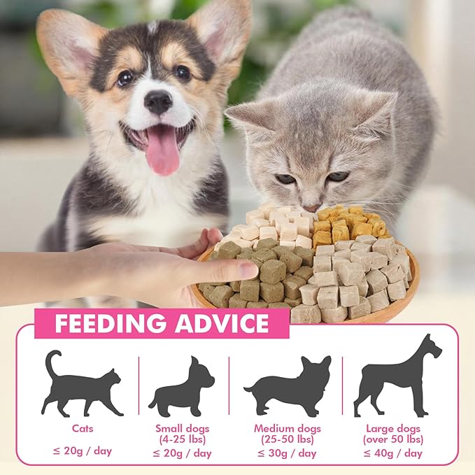 Freeze Dried Cats & Dogs Raw Treats, All Natural Single Ingredient Chicken Liver, High Protein Healthy Pet Training Treats or Food Topper, 3.5 oz