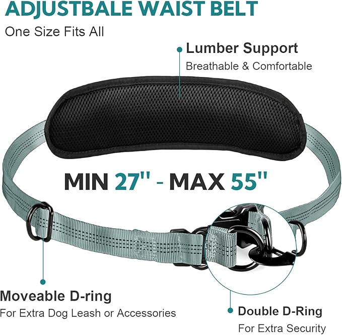Hands Free Dog Leash with Pouch, Double Leash for Two Dogs, Retractable Bungee with Double Padded Handles, Dog Waist Leash for Dog Walking, Running Leash for Dogs, Dog Walking Accessories