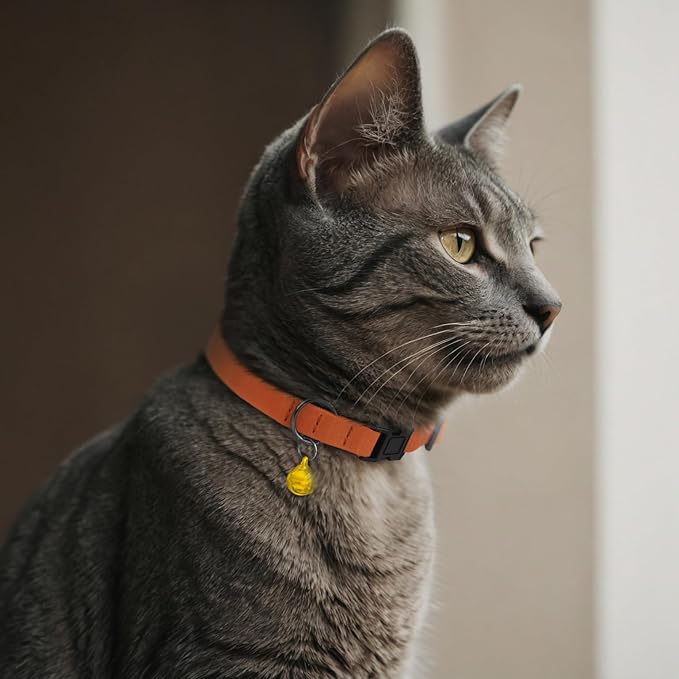 Breakaway Cat Collar Leather with Removable Bell - 13 Colors Available - Soft Adjustable Girl Boy Safety Lightweight Pet Kitten Collars Pink Brown Blue Green Red Orange Black (Green)