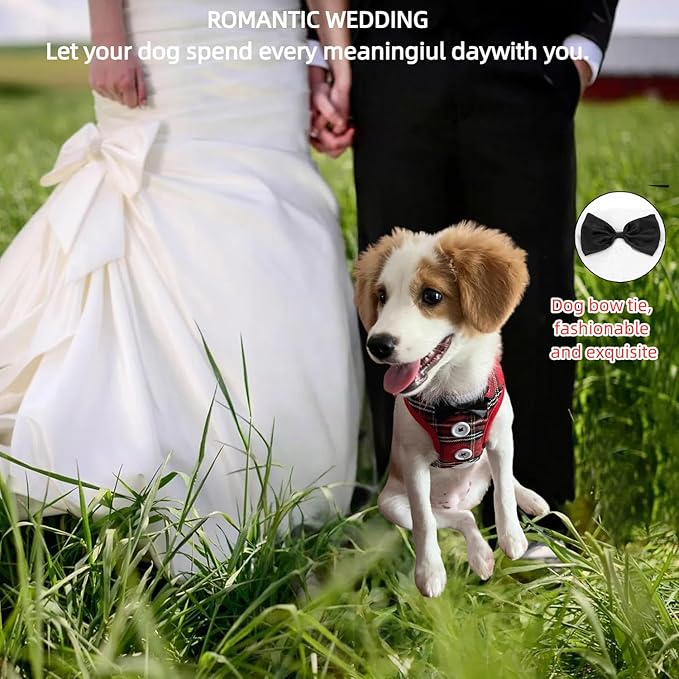 Dog Tuxedo for Wedding, Formal Pet Suit with Bow Tie and Leash, Adjustable Dog Costume for Small Medium Large Dogs, Birthday Christmas Halloween Party Apparel, M(8-14LB)