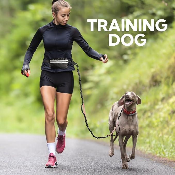 Hands Free Dog Leash, Waist Leash for Dog Walking, Hiking and Running,Adjustable Belt with Double Handle, Dog Leash for Large Dogs and Medium Dogs, Dog Walking Accessories,Tangle Free,No Pull