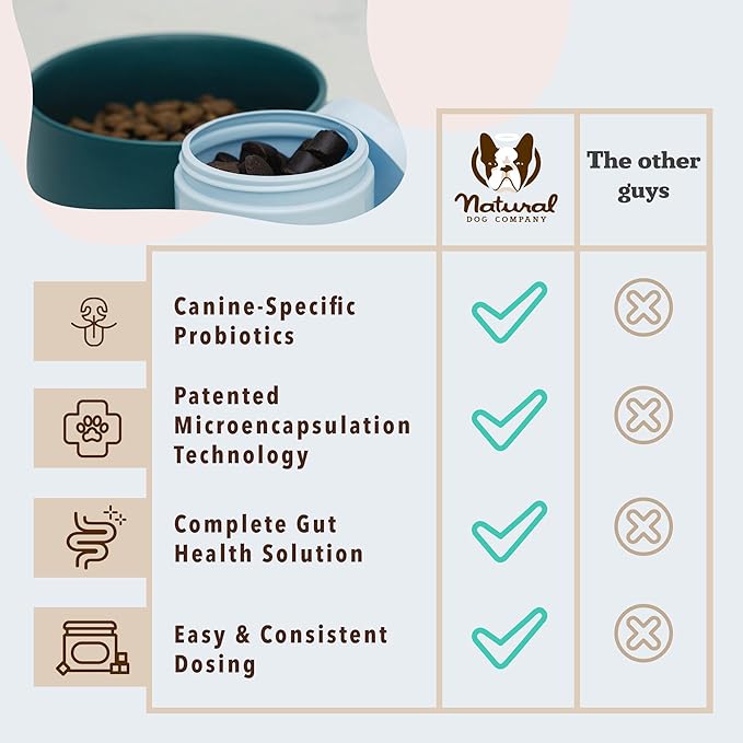 Natural Dog Company Gut Health & Probiotic Chews for Dogs (45 Ct), Prebiotics, Digestive Enzymes & Canine Specific Probiotics for Digestion, Gas, Loose Stool & Immune System Support, 1 Chew Daily