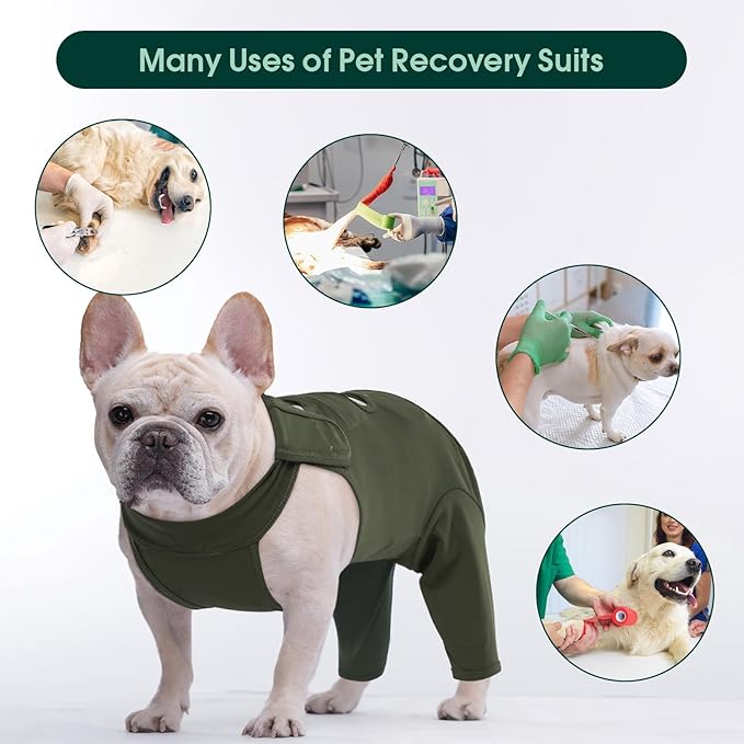 Kuoser Thigh Wound Protective Sleeve for Dogs, Surgery Recovery Suit for Rear Legs, Recovery Sleeve for Female Male Dogs, Onesie After Surgery, Pet Surgical Suit for Spay Neuter, Green S