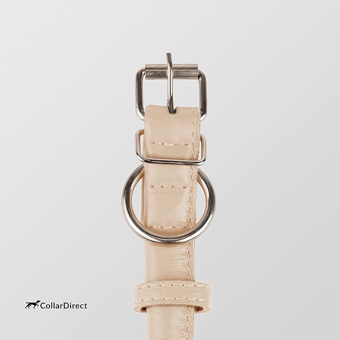 CollarDirect Rolled Leather Dog Collar, Soft Padded Round Puppy Collar, Handmade Genuine Leather Collar Dog Small Large Cat Collars 13 Colors (11-14 Inch, Beige Textured)