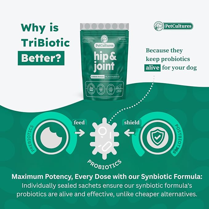 Hip and Joint Synbiotic Formula - 600mg Glucosamine, Chondroitin, MSM, and Probiotics in 30 Packs