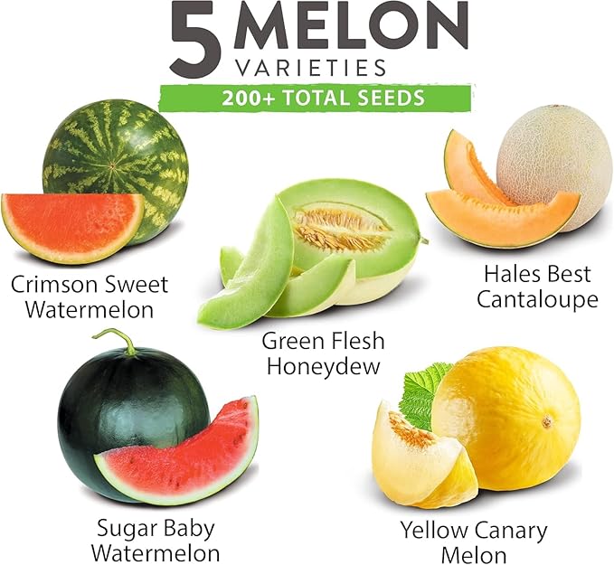 HOME GROWN π¨π¦π π£π₯ππ ππ¨π  Melon Seeds Variety Pack 5 π‘π’π‘-ππ π’ Heirloom Vegetable Seeds, Watermelon Cantaloupe Honeydew Sugar Baby & Melon, High Germination for Planting Home Garden Indoors
