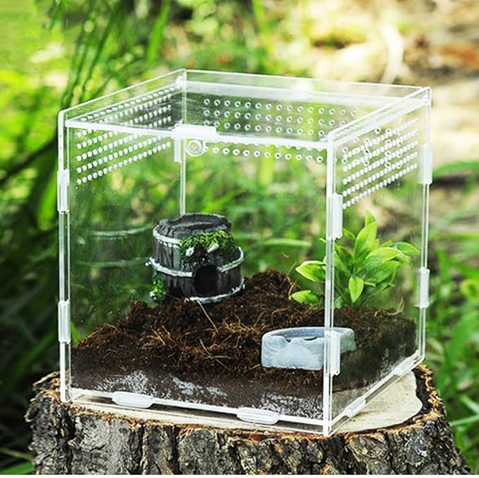 Magnetic Acrylic Case, micro habitat small Tarantula Enclosure enclosure for arboreal Tarantula Scorpion Sling Lizards Mantis Snake Gecko jumping spider snail Insect Isopods (3.5*3.5*3.7inch)