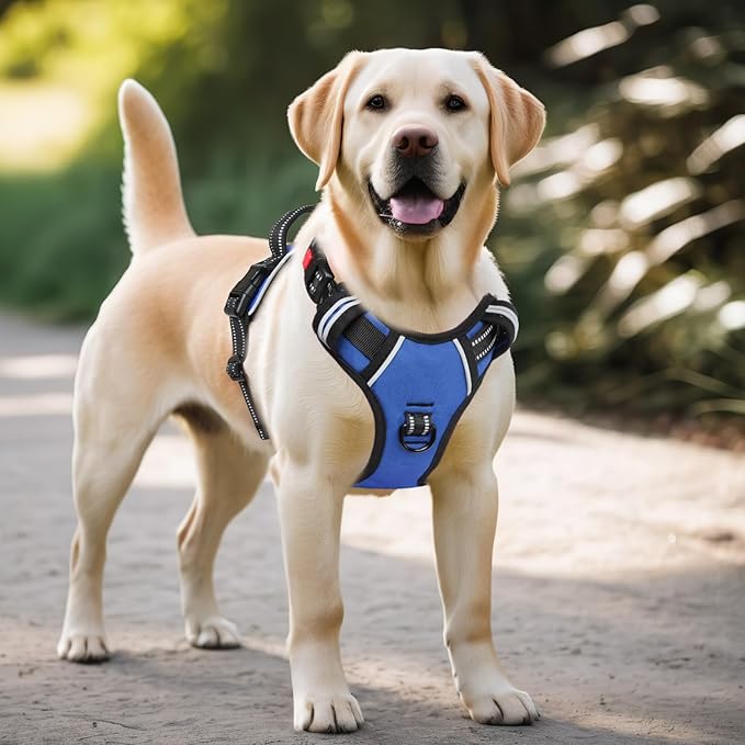 Timos Dog Harness for Large Dogs, No Pull Service Vest with Reflective Strips and Control Handle,No Choke Dog Harness with 2 Metal Rings for Easy Walking,Outdoor Training,Blue, XL