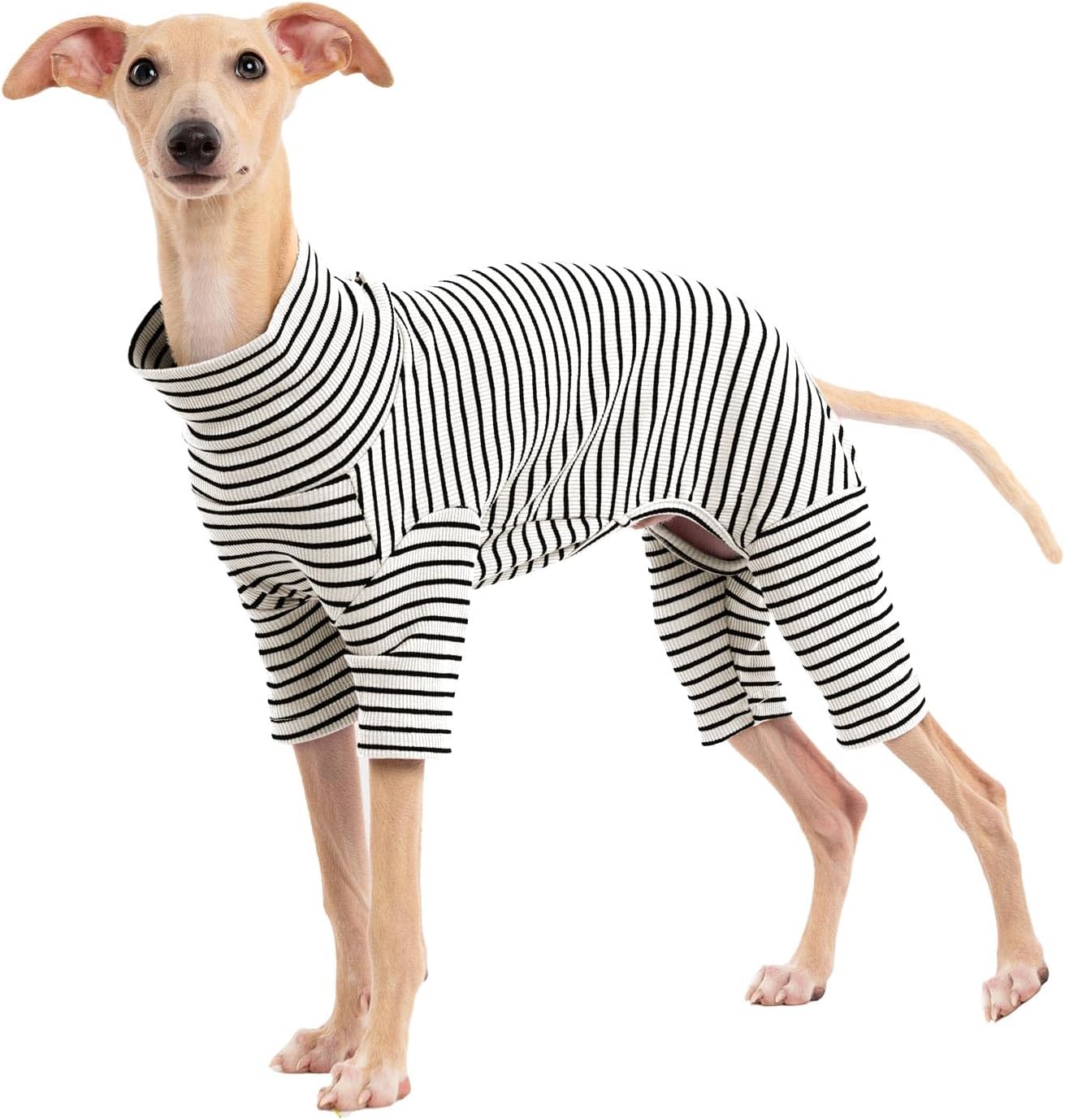 Dog Sweaters for Small Dogs Girls Boys, Striped Pet Sweaters for Fall Winter Dog Clothes, Turtleneck Pullover Knitwear for Small Medium Large Dog- ( Available in multiple colors)