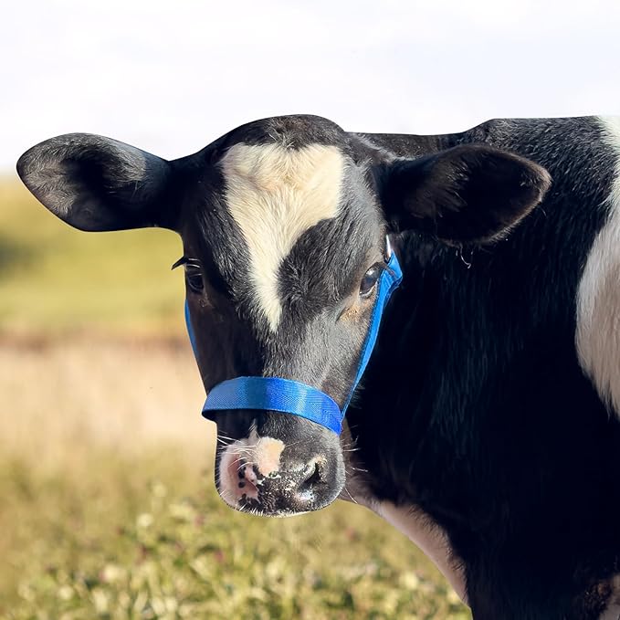 XUANNIAO Easily Adjustable Figure 8 Cow Halter, Double-Ply Premium Livestock Cattle Halters, Colorful Cow Utility Calf Halter with Leading Rope for Miniature Horse Donkey Goat Foal (Large, Pink)