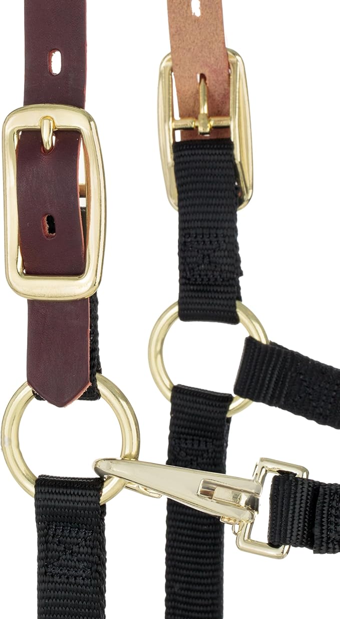 Weaver Equine Breakaway Horse Halter, Supple Leather Crown, Adjustable Chin & Throat Snap Halters for Horses, Equine Tack,Pony Size, Black