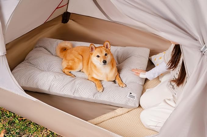 FUNNY FUZZY Washable Dog Bed,Reversible Plush Dog Crate Mat, Soft Fluffy Kennel Pad,Pet Sleeping Mattress for Large,Jumbo,Medium Sized Dogs Breeds,Indoor Cats,41.7" × 28.3", Light Grey