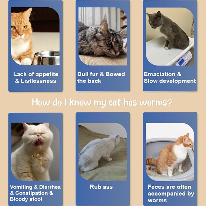 Flea Collar for Cats, Flea and Tick Collars for Kittens, Flea & Tick Treatment Prevention, Natural Essential Oil, 2 Pack, 16 Months Protection, One Size Fits All, Waterproof