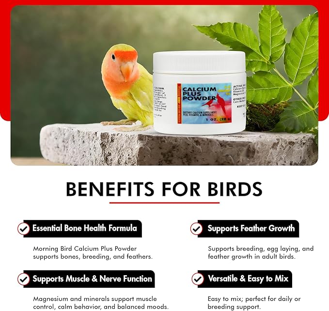 Morning Bird Calcium Plus Powder for Birds 1 oz – Calcium Carbonate Powder with Magnesium Glycinate & Vitamin D – Bone Strength & Immune Support Supplement – Calcium Formula for All Bird Sizes