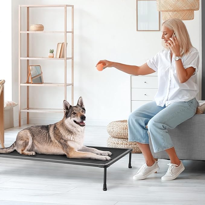 Veehoo Chewproof Elevated Dog Bed - Cooling Raised Pet Cot, Breathable Mesh, Washable & Non-Slip for Large Dogs, Indoor/Outdoor, Black Mat and Black Frame, 49x33inches (Model CWC2203A03)