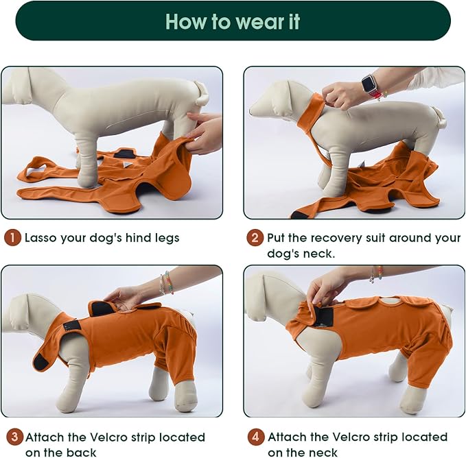 Kuoser Dog Surgery Recovery Suit for Rear Legs, Thigh Wound Protective Sleeve for Dogs, Dog Recovery Sleeve for Female Male Dogs, Dog Onesie After Surgery Pet Surgical Suit for Spay Neuter, Brown S