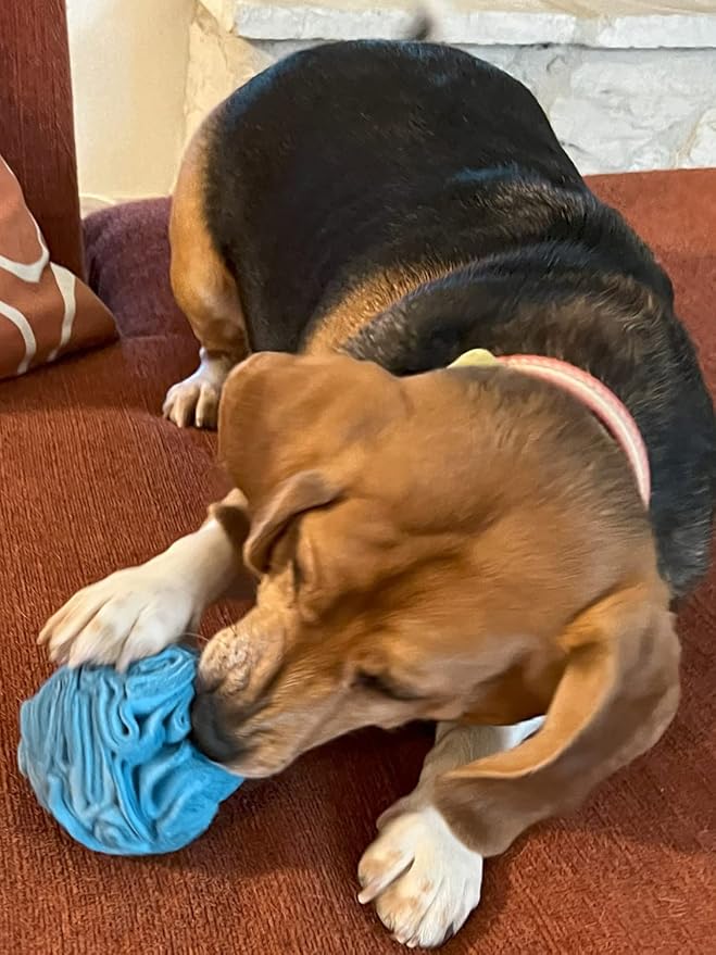 Puppy and Small Breed Snuffle Interactive Foraging Dog Puzzle Ball Toy Blue