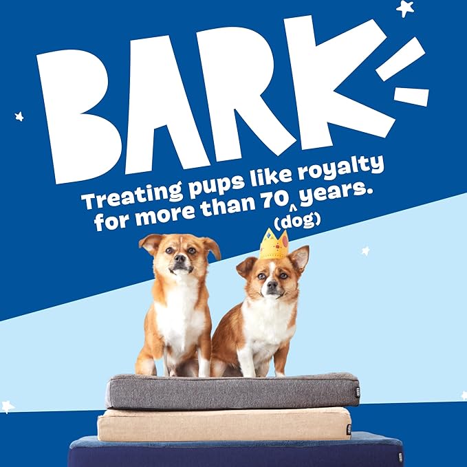 Barkbox Orthopedic Dog Bed with Memory Foam, Premium Comfort for Dogs and Puppies, Dog Bed for Joint Relief and Restful Sleep, Durable and Easy to Clean - Grey, Small