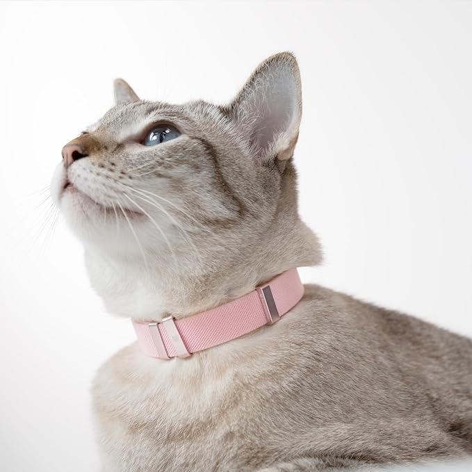 Safety Cat Collar - U.S. IDA Gold Awarding Design, Elastic Quick Release, Non Breakaway - Lightweight for Kitten, Neck Fit 7.8'-15.7' for All Small Large Cat,M(Monet Purple)