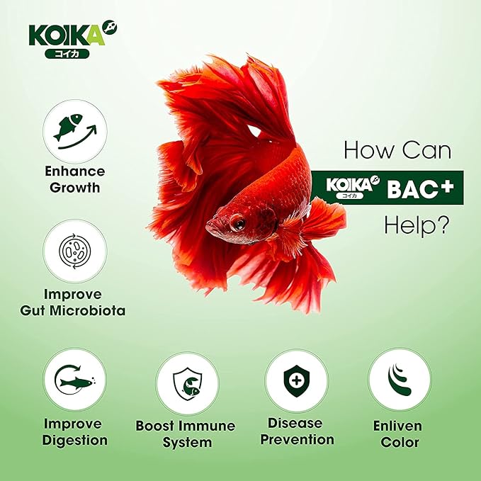 KOIKA BAC+ Aquarium Probiotics, Pleasant Smell, Disease Resistance, Immunity Boosting (BAC+ (New Formula), 105ml)