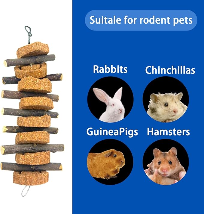 PINVNBY Rabbit Chew Toys for Teeth Hanging,Natural Apple Bunny Chew Sticks Small Animals Molar Wood for Rabbits Chinchillas Guinea Pigs Hamsters Small Pet Chewing Improve Dental Health(4 Pcs)