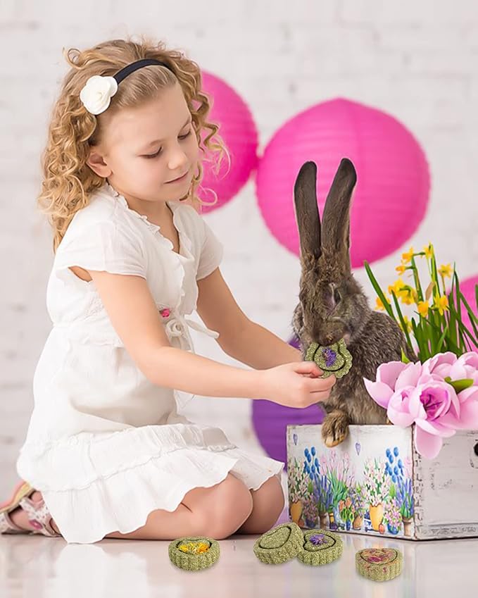 Sofier 28Pcs Timothy Hay Treats Rabbit Toys Bunny Toys Guinea Pig Natural Handmade Treats and Chews for Small Animals Hamster Chinchilla Rat Gerbil