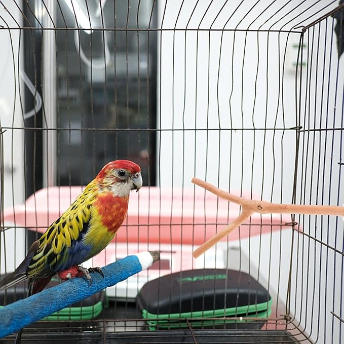 2pcs Bird Parrot Perch Stand Poles, Natural Wooden Parrot Perch for Cage, Branches Fork Rod for Small Parakeets Cockatiels Conure Lovebirds Bird Cage Accessories