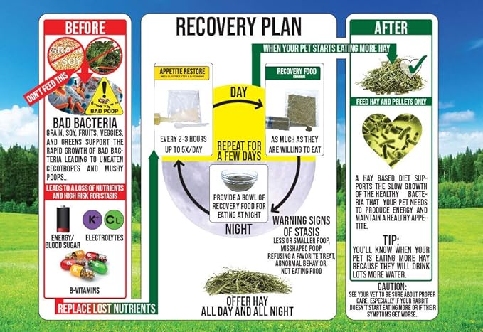 Sherwood Pet Health Rabbit Emergency kit and Bulk Recovery Food (800 Grams)…