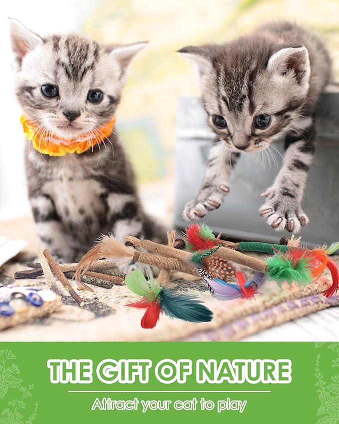 TINDTOP Silvervine Chew Sticks for Cats, 12 Pack Natural Catnip Chew Toys for Kittens Teeth Cleaning, Matatabi Dental Care, Increase Appetite Cat Dental Toy