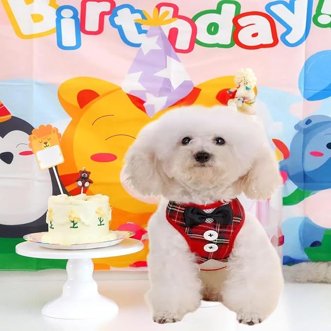 Dog Tuxedo for Wedding, Formal Pet Suit with Bow Tie and Leash, Adjustable Dog Costume for Small Medium Large Dogs, Birthday Christmas Halloween Party Apparel, M(8-14LB)