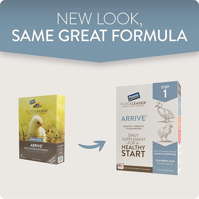 Arrive, Daily Probiotic & Prebiotic Water Supplement for Young Chickens 0-8 Weeks Old, 8 oz (Pack of 2)