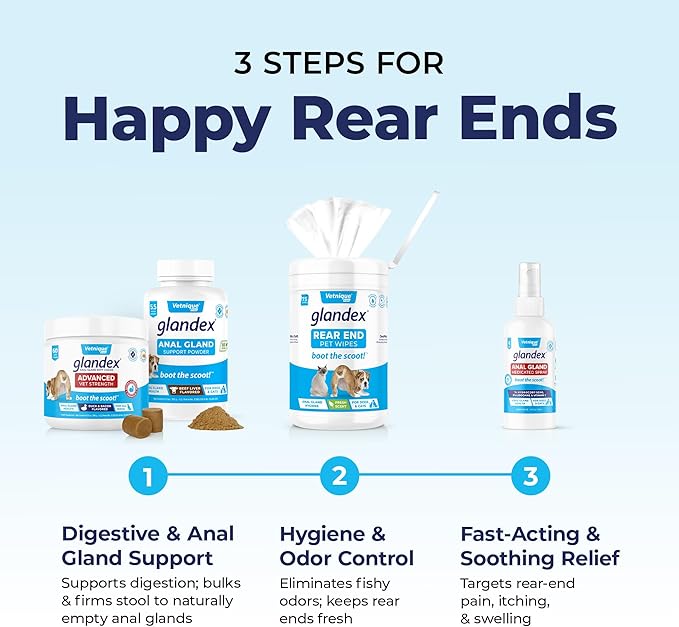 Vetnique Labs Glandex Anal Gland Soft Chew Treats with Pumpkin for Dogs Digestive Enzymes, Probiotics Fiber Supplement for Dogs Boot The Scoot (Peanut Butter Chews, 30 Count)