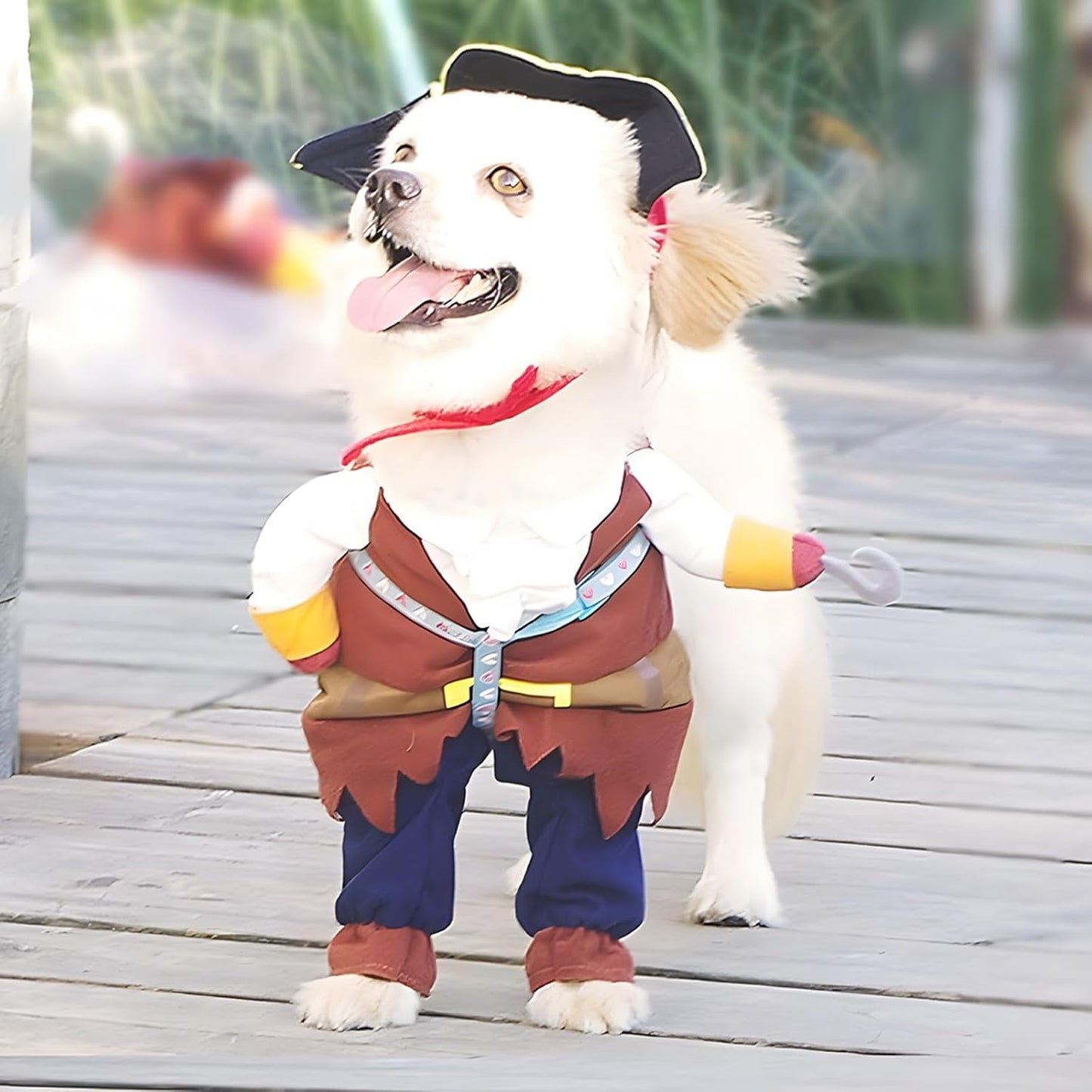 Pet Dog Costume Pirates of The Caribbean Style