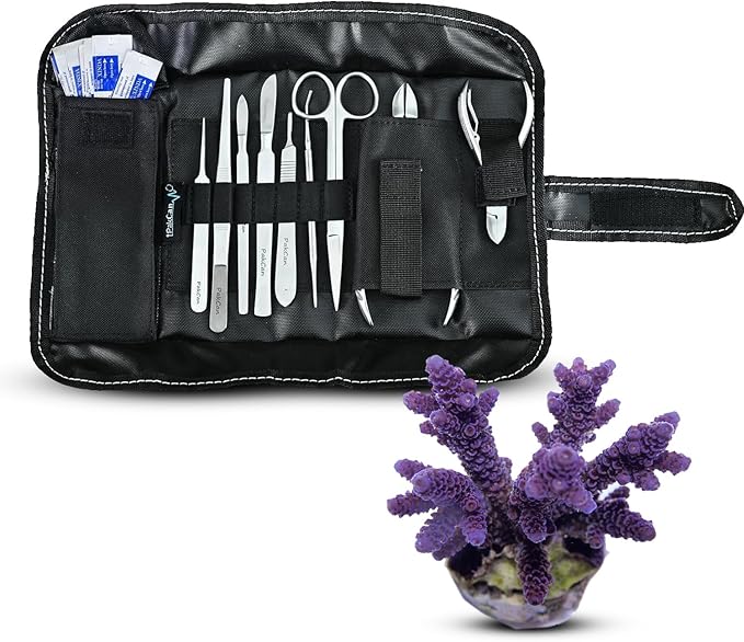 Premium Coral Fragging Kit - Complete Coral Propagation and Fragging Set