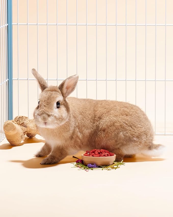 Niteangel Goji Berries Rabbits Snack Treats: 12pcs Natural Chew Toys for Bunny Chinchilla Guinea Pigs and Other Small Animals