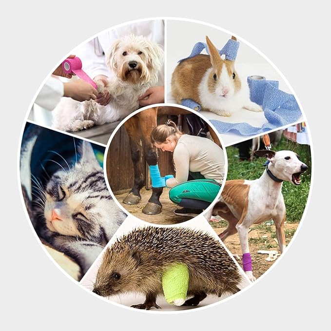 WePet Pet Wrap, Self-Adhesive, Only Sticks to Itself, Non-Woven Tape for Dog Legs, Paws, Wounds, First Aid Cohesive Gauze for Horse, Cat, Bird, Animal, 6 Rolls, 2 Inch, Solid Color