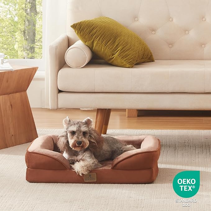 Bedfolks Orthopedic Dog Bed Extra Small, Waterproof Dog Sofa Bed for Small Dogs & Cats, Egg Foam Pet Couch Bed with Removable Washable Cover and Nonslip Bottom, Brown