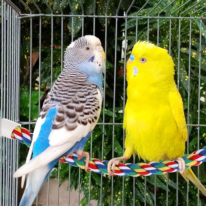 Colorful Bird Rope Perch Stand, Birdcage Swing Spiral Toys, Bird Climbing Standing Bungee Rope Perches Chew Toys Cage Accessories for Cockatiels Parrots Birds (40CM/15.7inch)