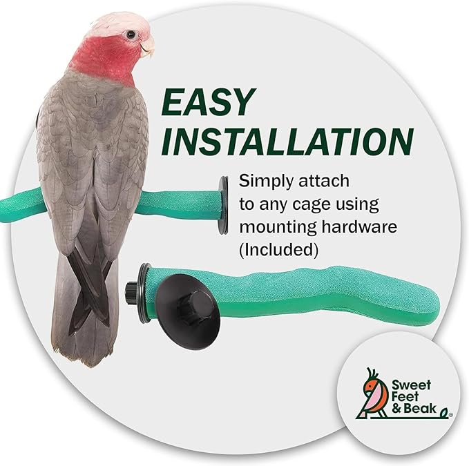 Sweet Feet & Beak Safety Pumice Bird Perch, Medium 1-1/4" X 12", Green - Lightweight Grinding Bird Perches for Cage - Bird Nail Trimming Perch for Healthy Beak & Feet - Multi-Size & Color Parrot Stand