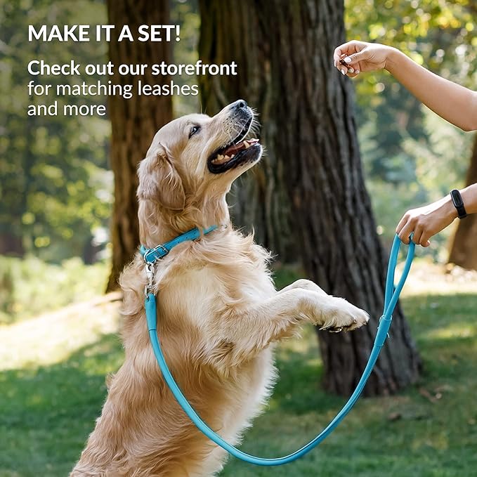 CollarDirect Rolled Leather Dog Collar, Soft Padded Round Puppy Collar, Handmade Genuine Leather Collar Dog Small Large Cat Collars 13 Colors (18-22 Inch, Light Blue Smooth)