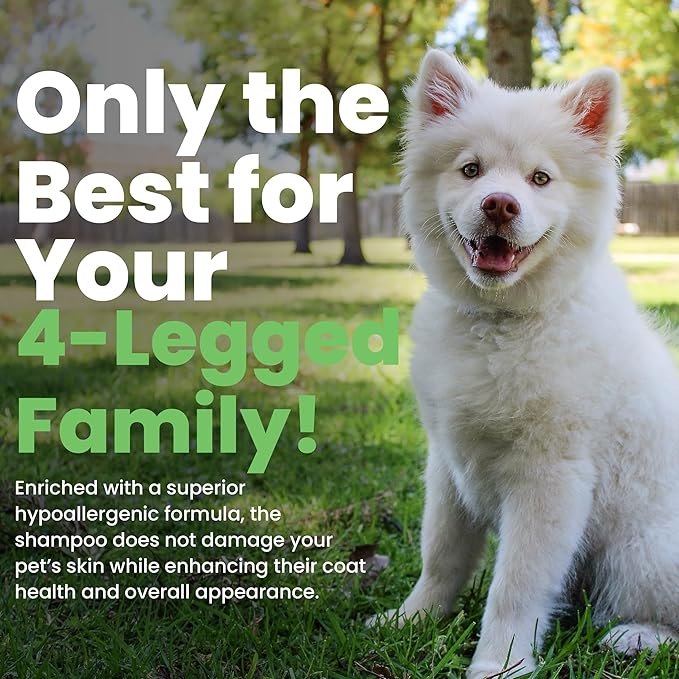 Best Shot Scentament Spa for Pets, Seasonal Facial Spa and Body Wash, Mango Maui, Tearless Shampoo, Hypoallergenic Body Wash, Reduces Tear Stains, 1 Gallon