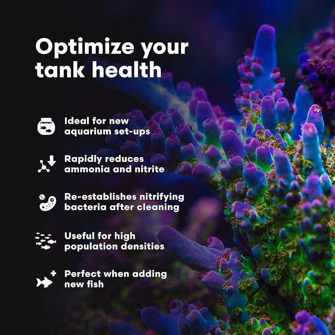 Brightwell Aquatics MicroBacter Start XLM - Concentrated Saltwater Nitrifying Bacteria - Quick Start Fish Tank Starter, Lift Microbe Levels & Water Filtering - Marine Aquarium Treatments, 8.45 fl oz