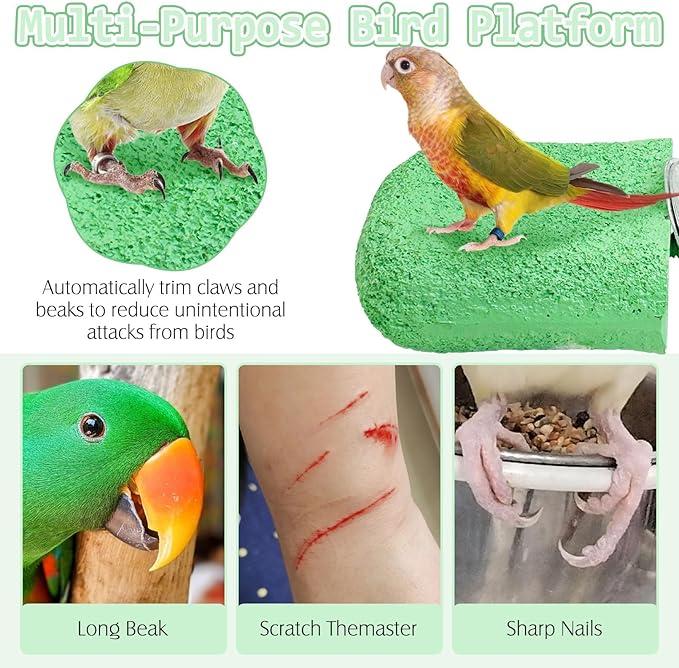 PINVNBY 5 Pack Bird Perch Resin Bird Beak Grinding Stone Parrot Cage Perch Stand Platform Foot Claws Trimmer Chew Toy Bird Cage Accessories for Budgie Cockatiel Conure Lovebird Finch (Green)