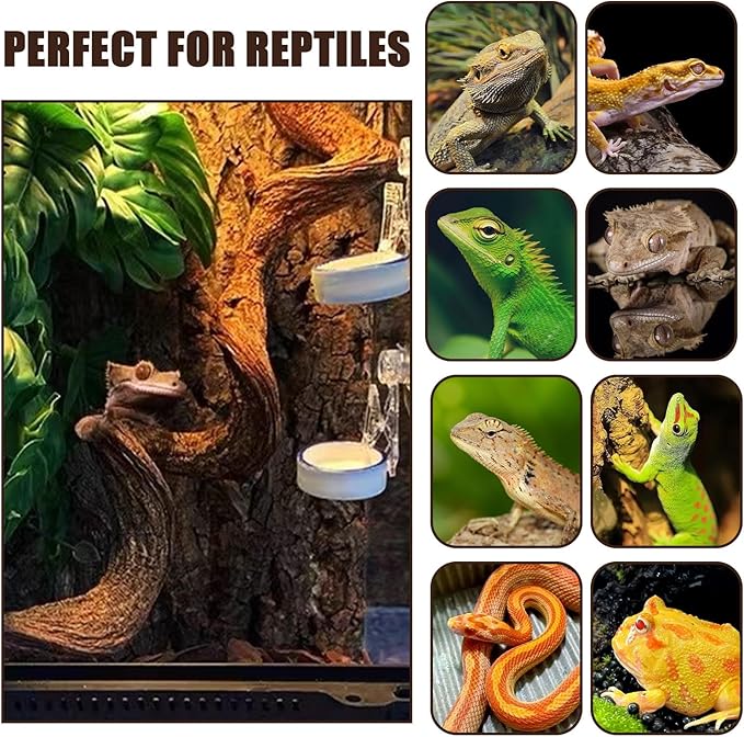 BNOSDM 2Pcs Reptile Climbing Branches Decor,Snake Climbing Branch,Gecko Climb Wood,Lizard Forest Branch,Tank Habitat Tree Trunk Decorations for Bearded Dragons,Chameleons,Spider,Frogs (L)