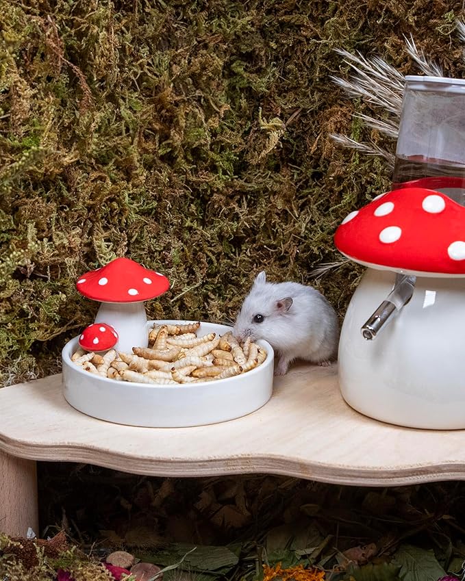 Niteangel Small Animal Snack & Treats - Small Critter Natural Treat for Dwarf Syrian Hamsters Gerbils Mice Sugar Glider Hedgehogs Chickens Birds (Freeze-Dried Worms- 0.9oz (25g))